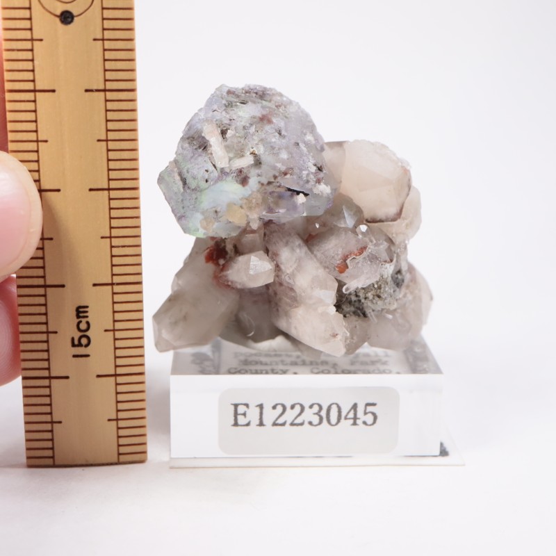 Green Monster Pocket �ե����饤��