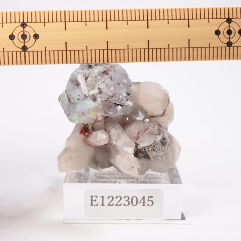 Green Monster Pocket �ե����饤��