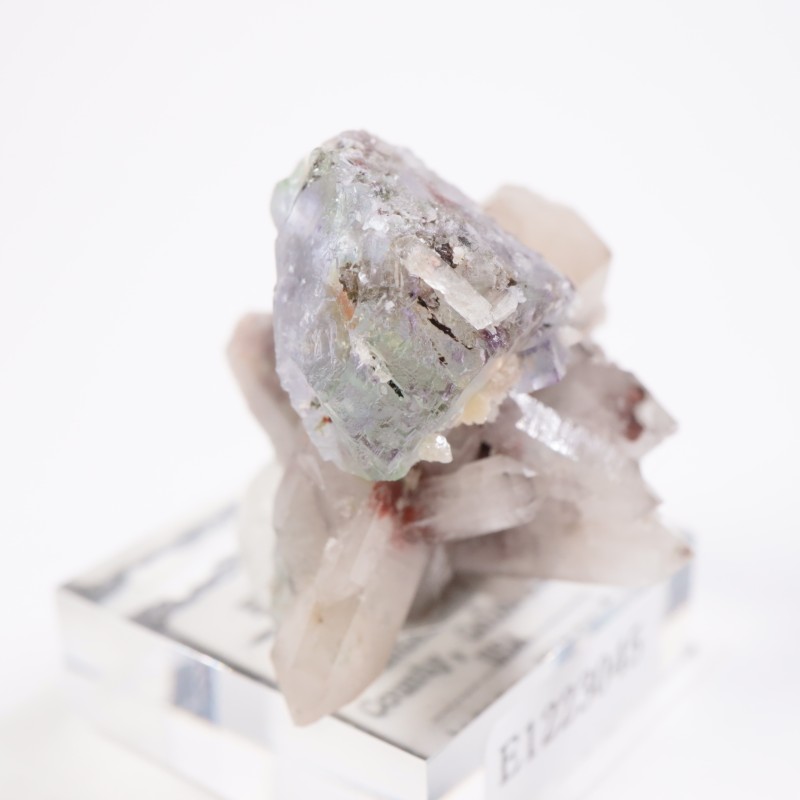 Green Monster Pocket �ե����饤��