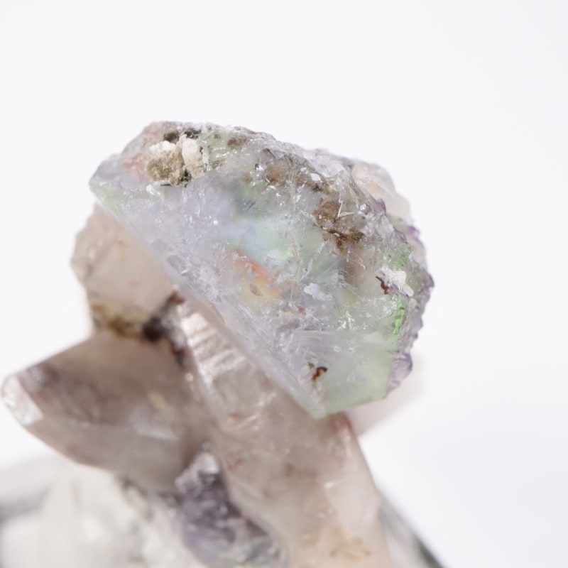 Green Monster Pocket �ե����饤��