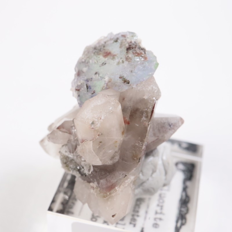 Green Monster Pocket �ե����饤��