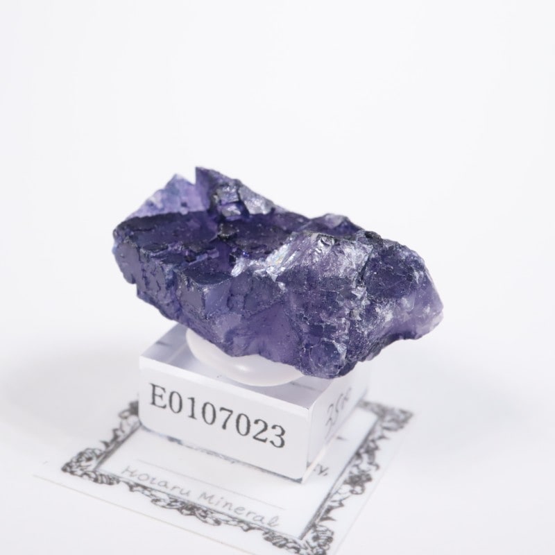 �ᥭ���������ե����饤��