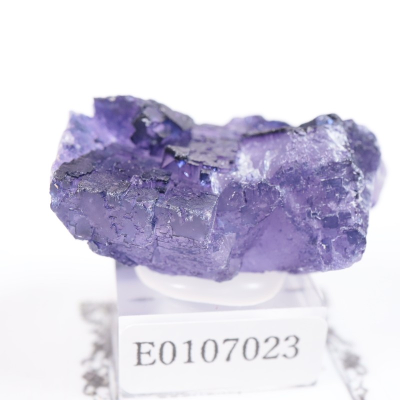 �ᥭ���������ե����饤��