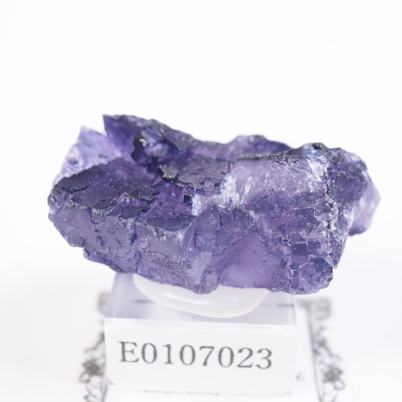 �ᥭ���������ե����饤��