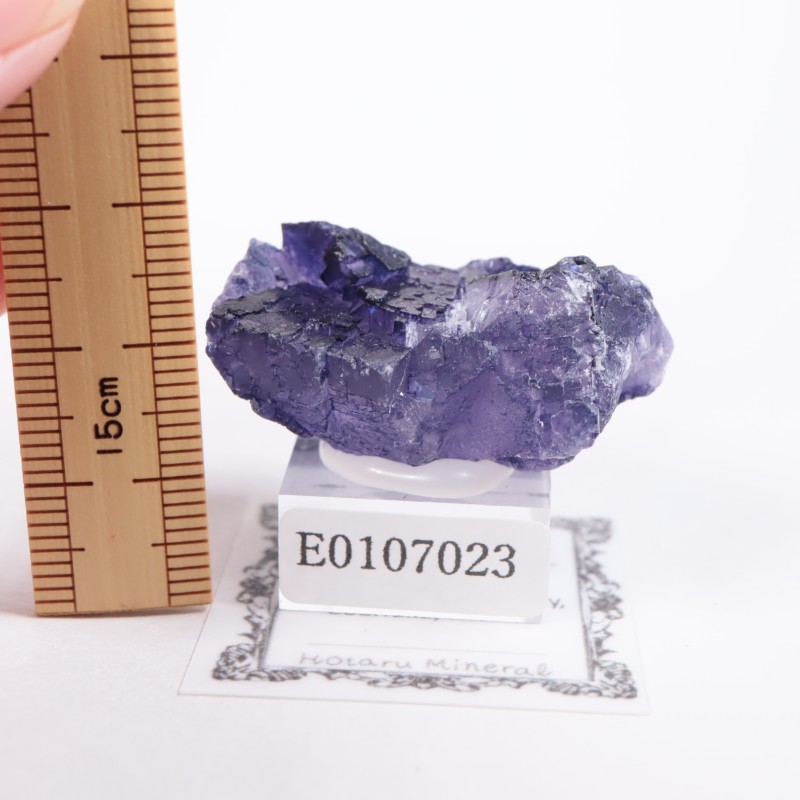 �ᥭ���������ե����饤��