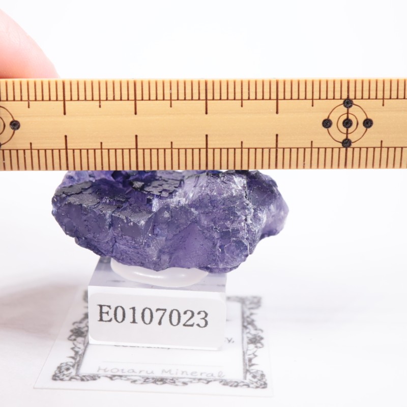 �ᥭ���������ե����饤��