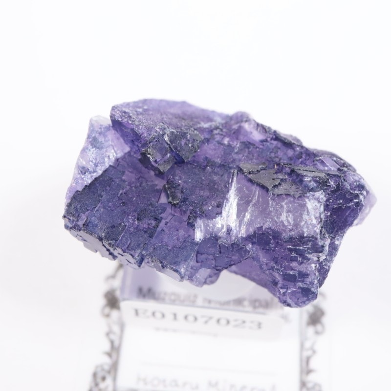 �ᥭ���������ե����饤��