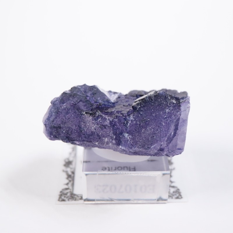 �ᥭ���������ե����饤��