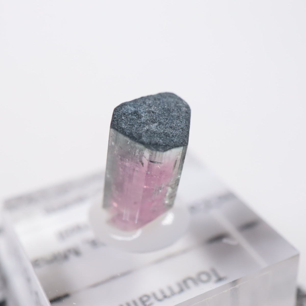 Coronel Murta�� �ȥ�ޥ��