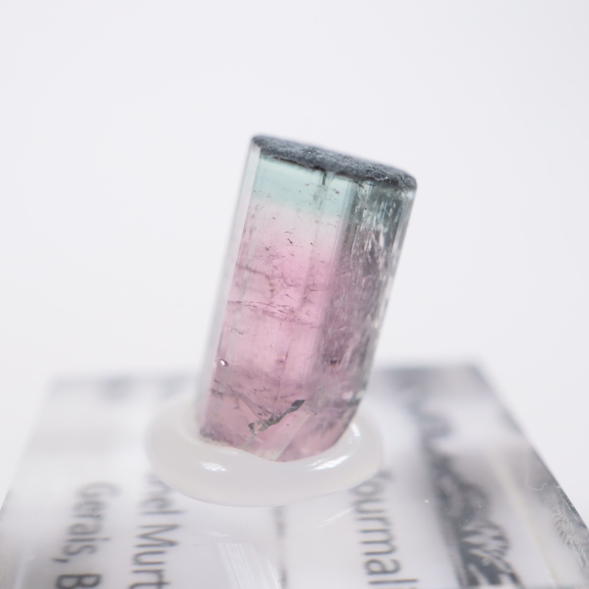 Coronel Murta�� �ȥ�ޥ��