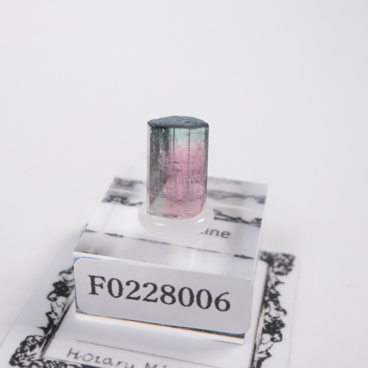 Coronel Murta�� �ȥ�ޥ��