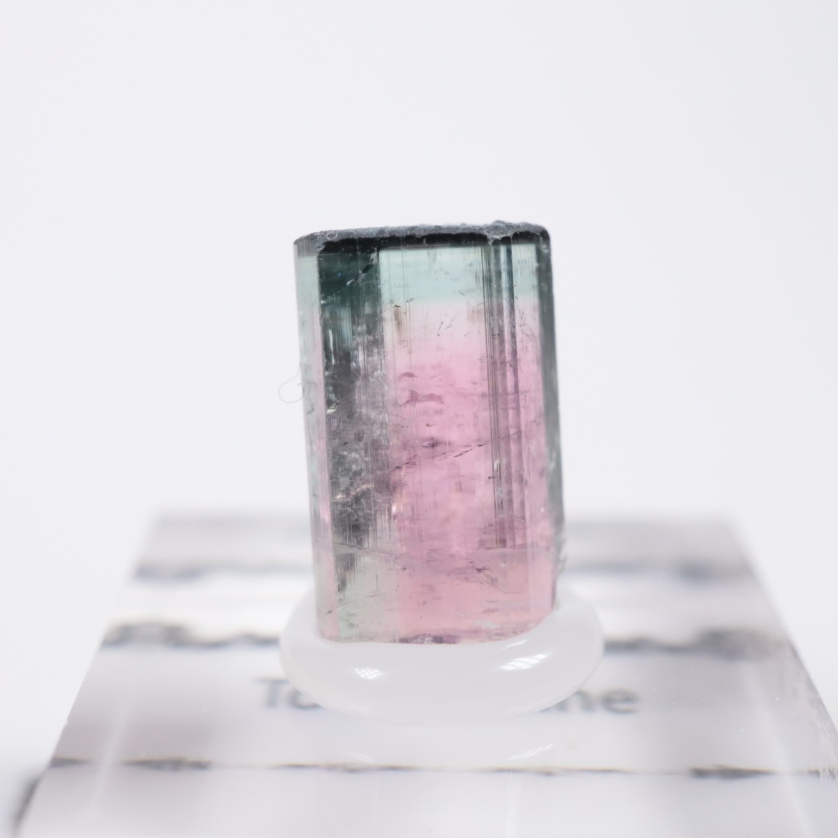 Coronel Murta�� �ȥ�ޥ��