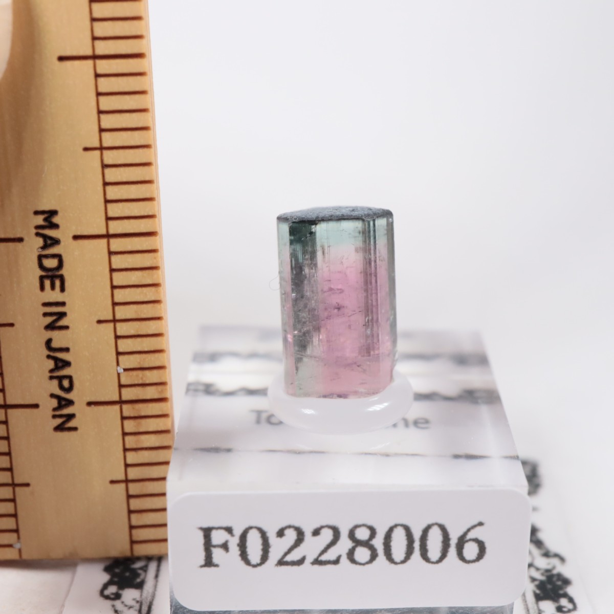 Coronel Murta�� �ȥ�ޥ��