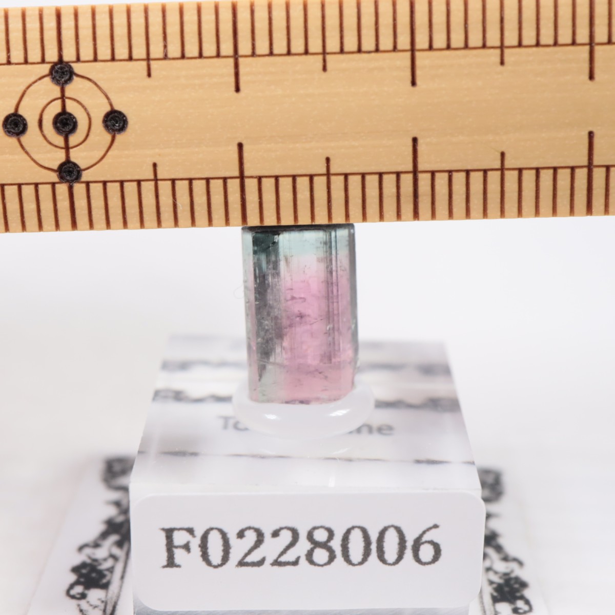 Coronel Murta�� �ȥ�ޥ��