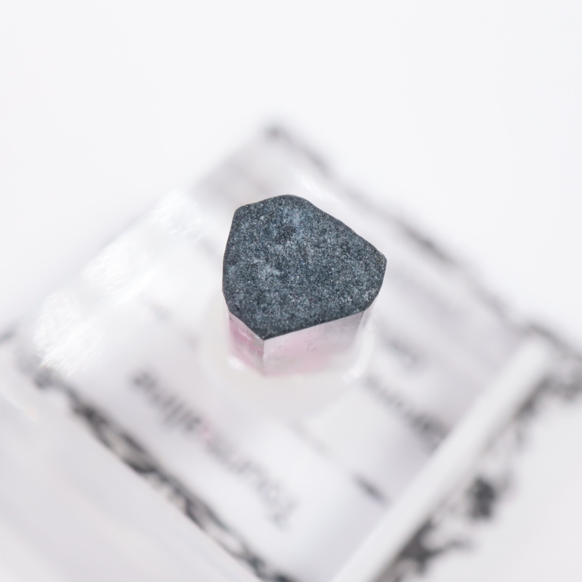 Coronel Murta�� �ȥ�ޥ��