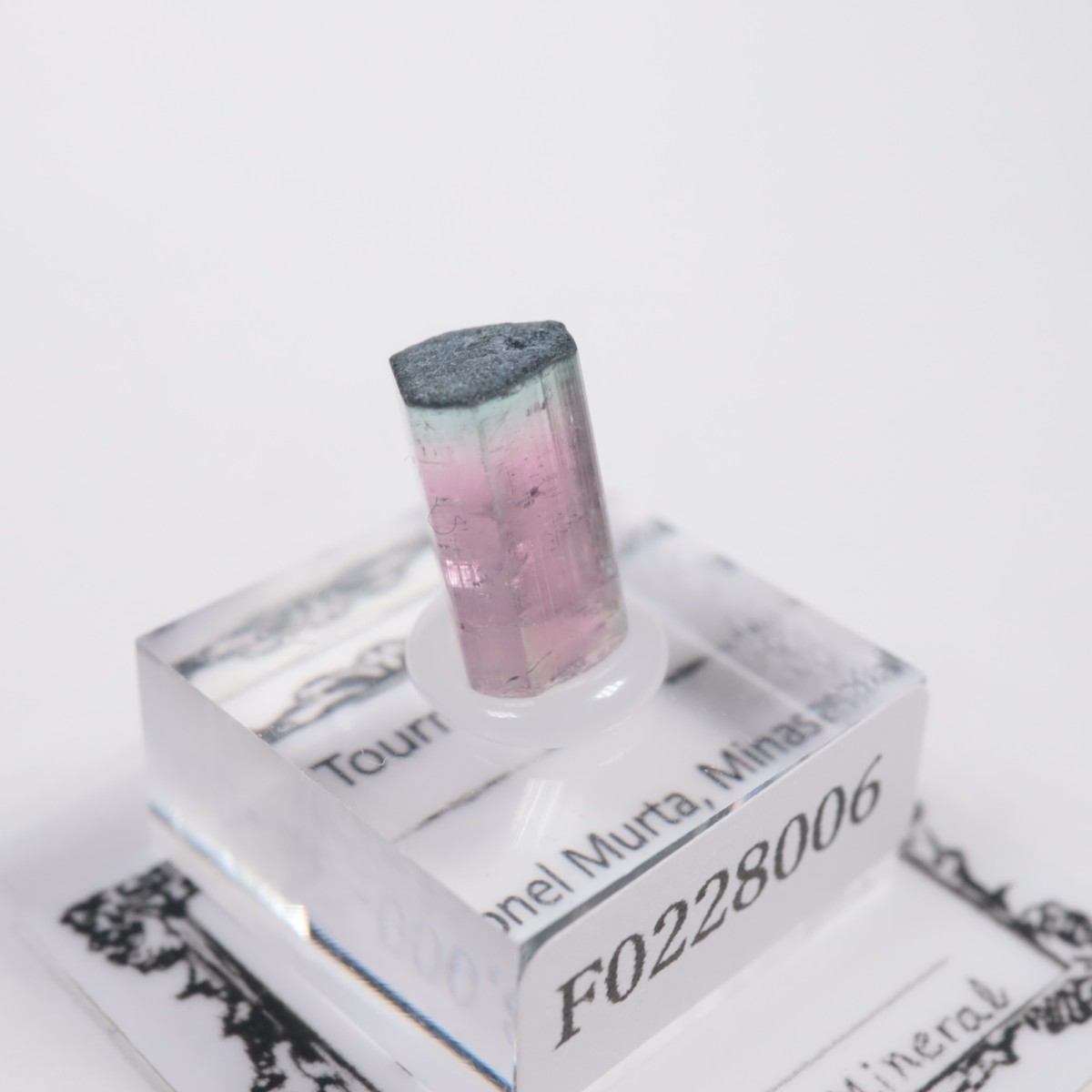 Coronel Murta�� �ȥ�ޥ��