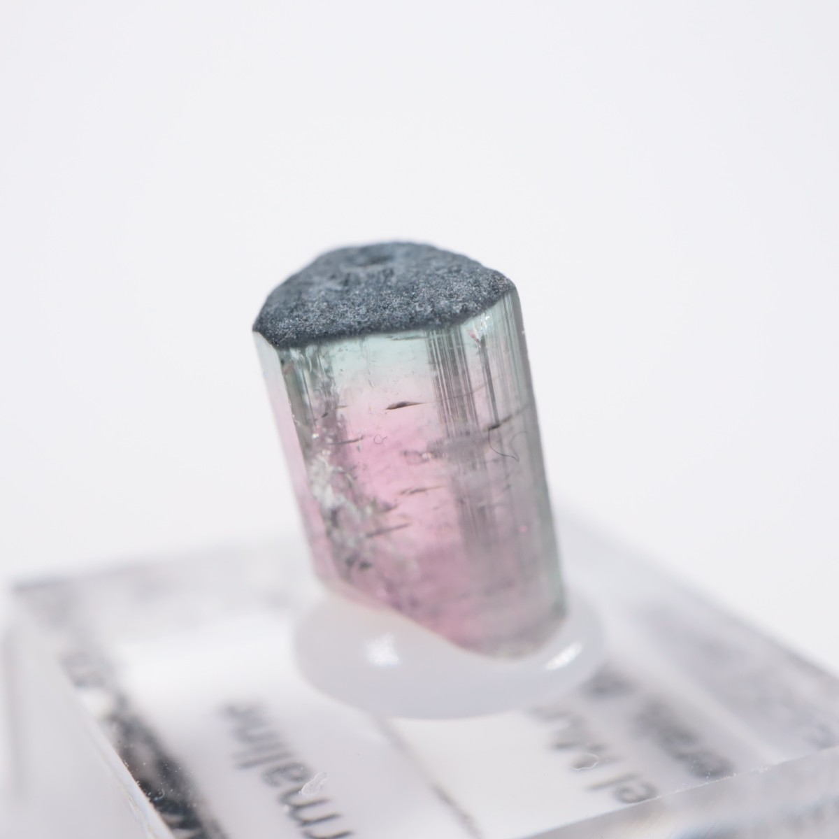 Coronel Murta�� �ȥ�ޥ��