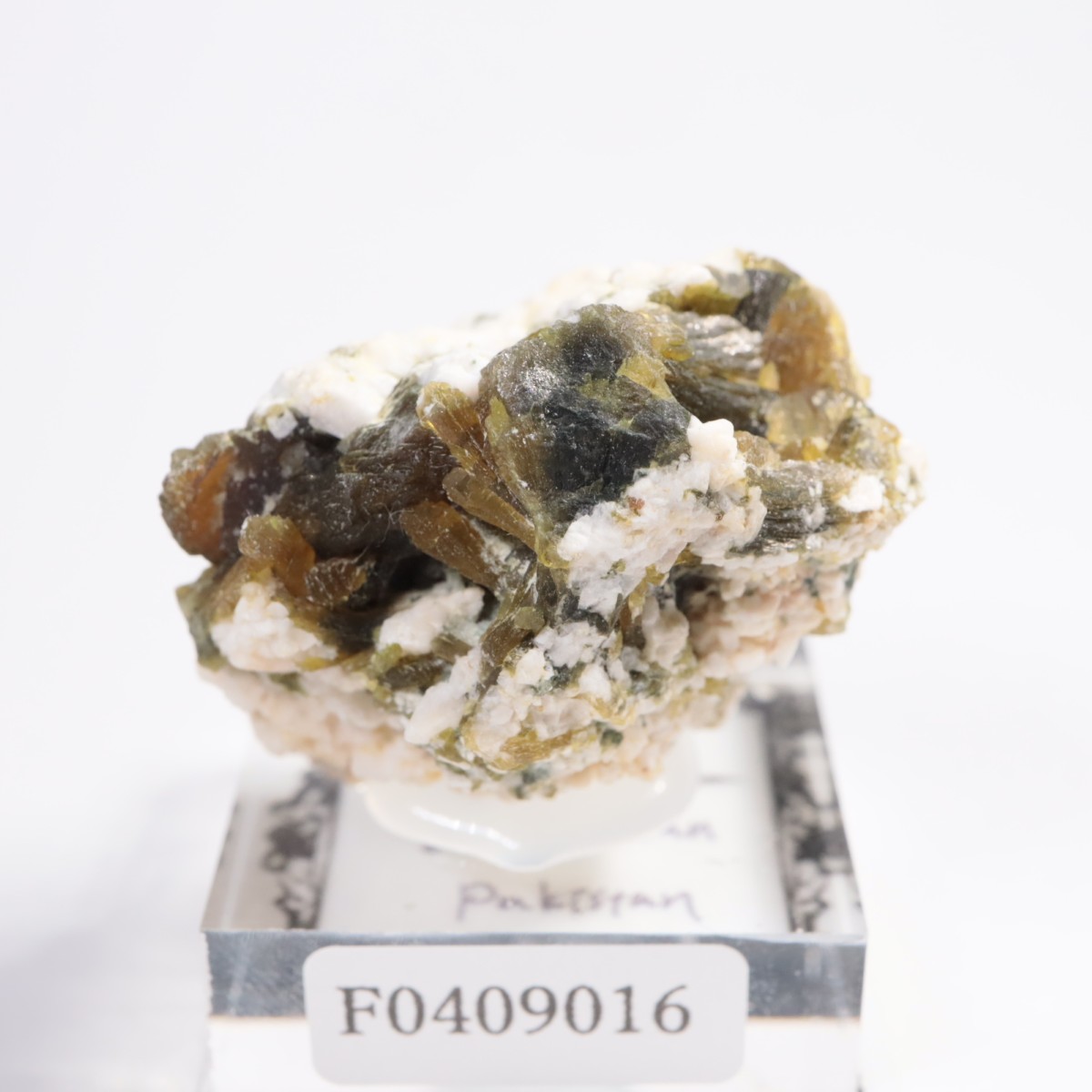 �ѥ������� ���ԥɡ���