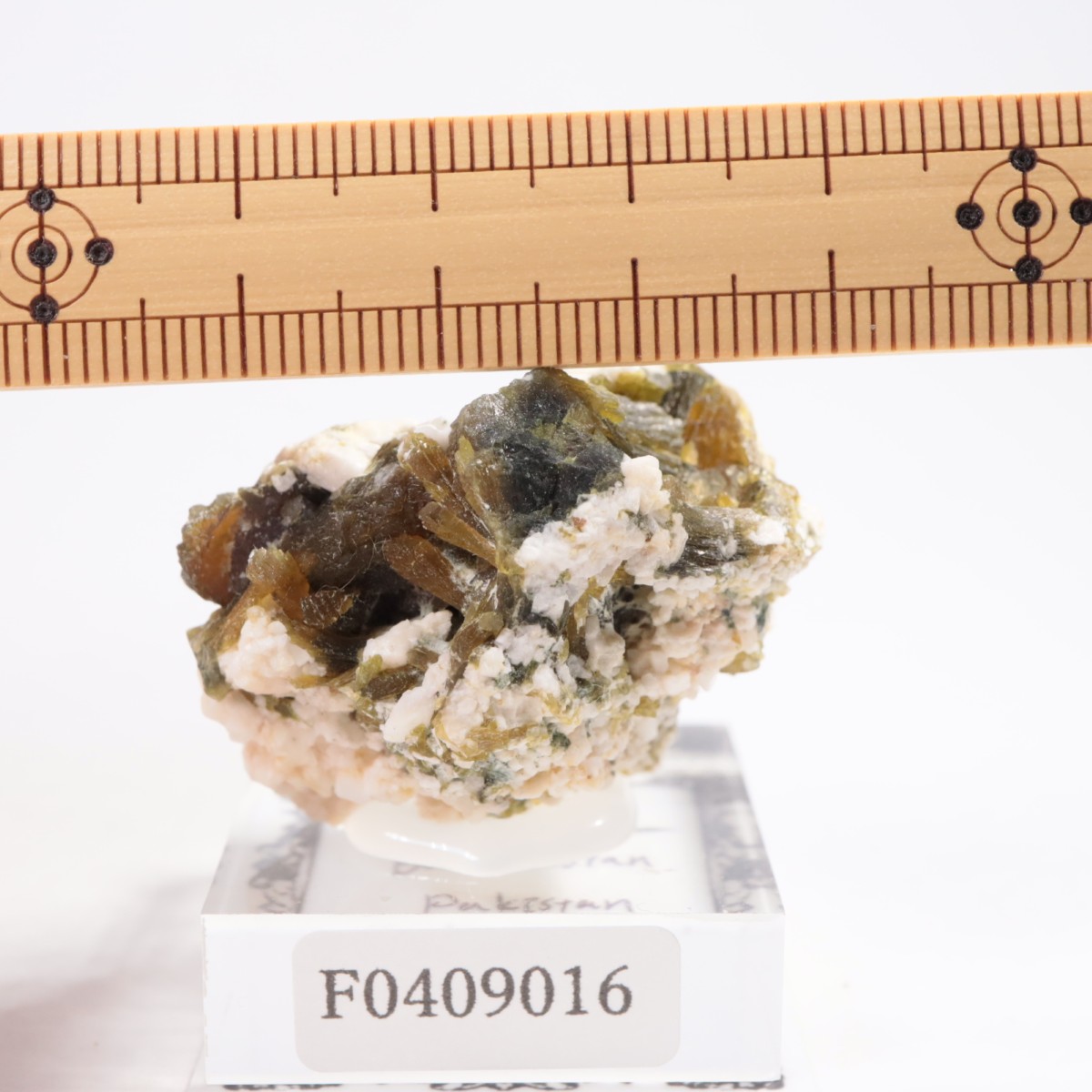 �ѥ������� ���ԥɡ���