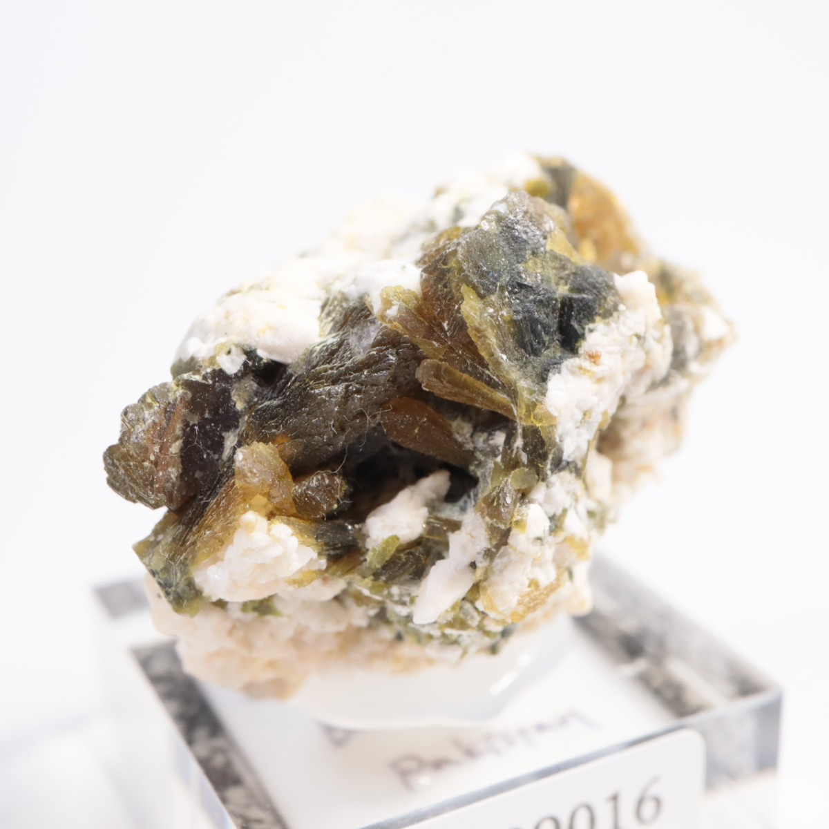 �ѥ������� ���ԥɡ���