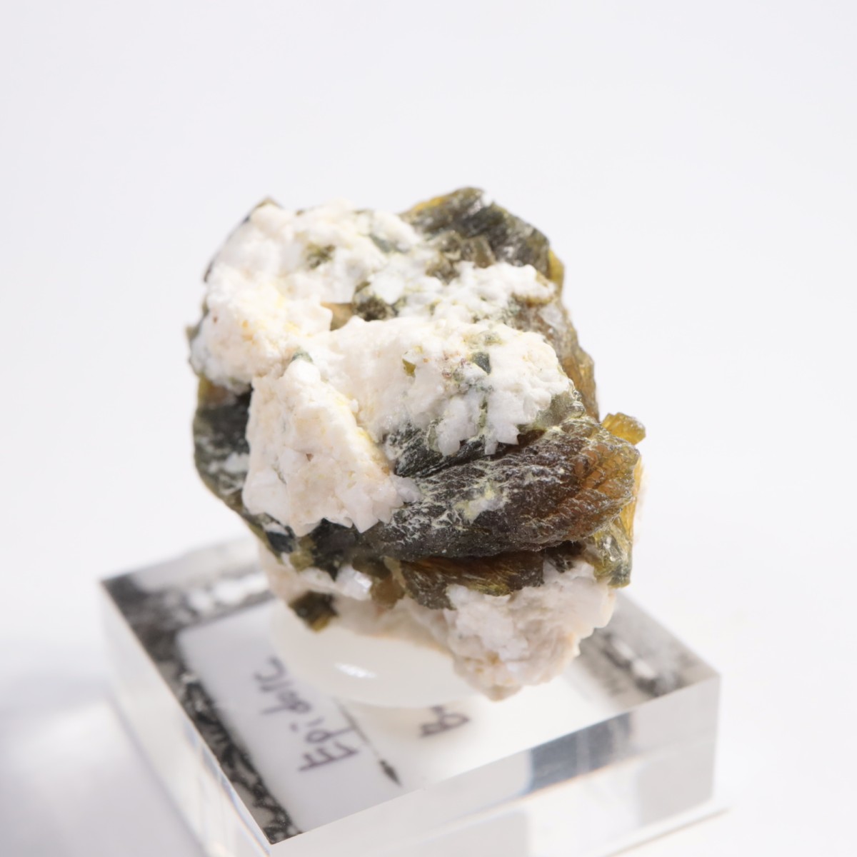 �ѥ������� ���ԥɡ���