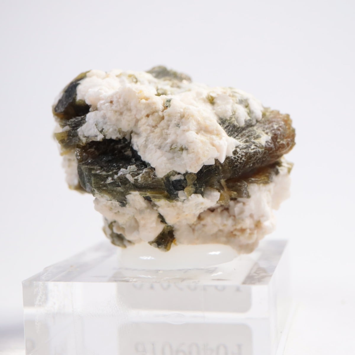 �ѥ������� ���ԥɡ���