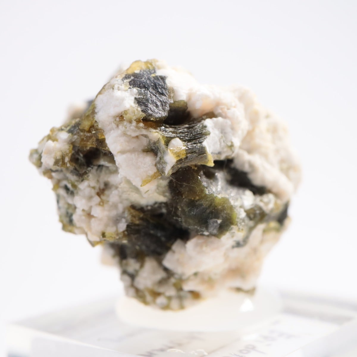 �ѥ������� ���ԥɡ���