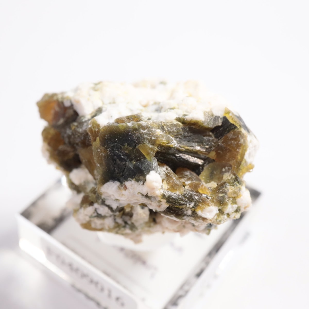 �ѥ������� ���ԥɡ���