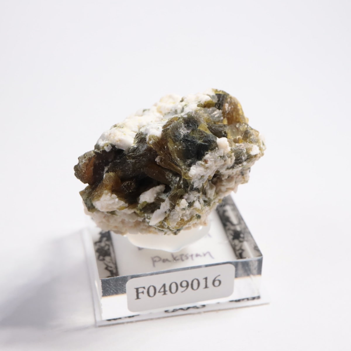 �ѥ������� ���ԥɡ���