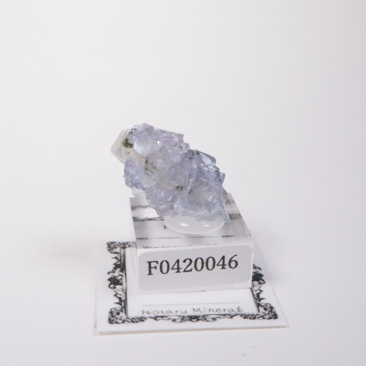 �䥪���󥷥��ۻ��� �ե����饤��