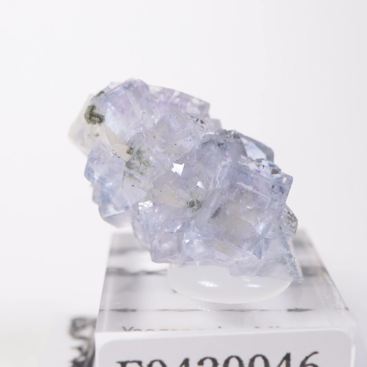 �䥪���󥷥��ۻ��� �ե����饤��