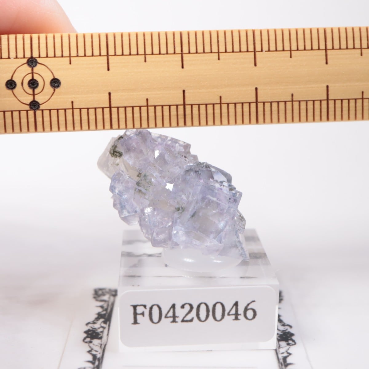 �䥪���󥷥��ۻ��� �ե����饤��