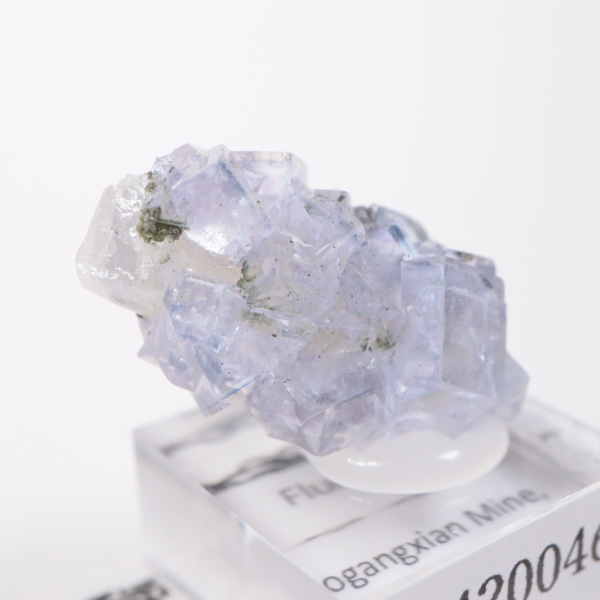 �䥪���󥷥��ۻ��� �ե����饤��