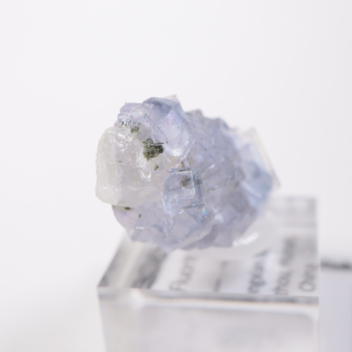 �䥪���󥷥��ۻ��� �ե����饤��