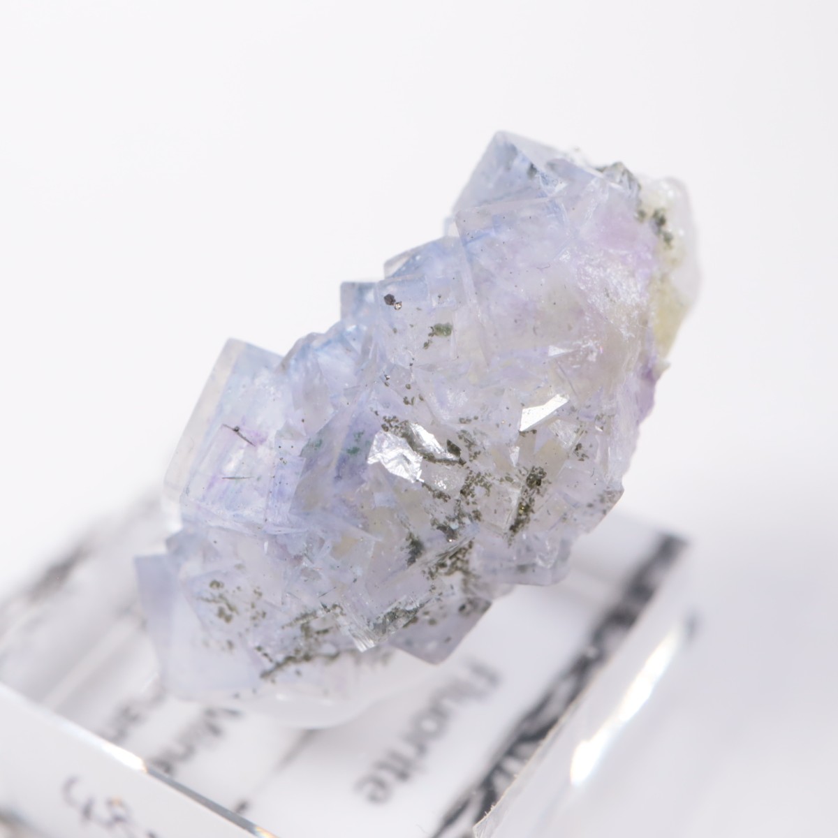 �䥪���󥷥��ۻ��� �ե����饤��