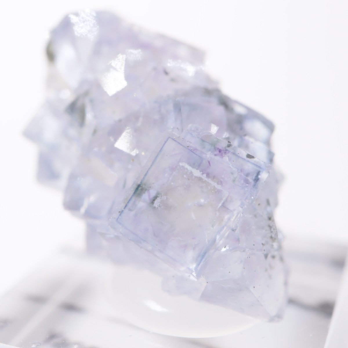 �䥪���󥷥��ۻ��� �ե����饤��