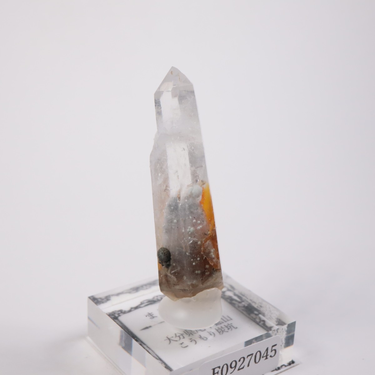 大分県尾平鉱山 まりも水晶 | 鉱物標本,カ行,クォーツ/水晶 | ほたるみ