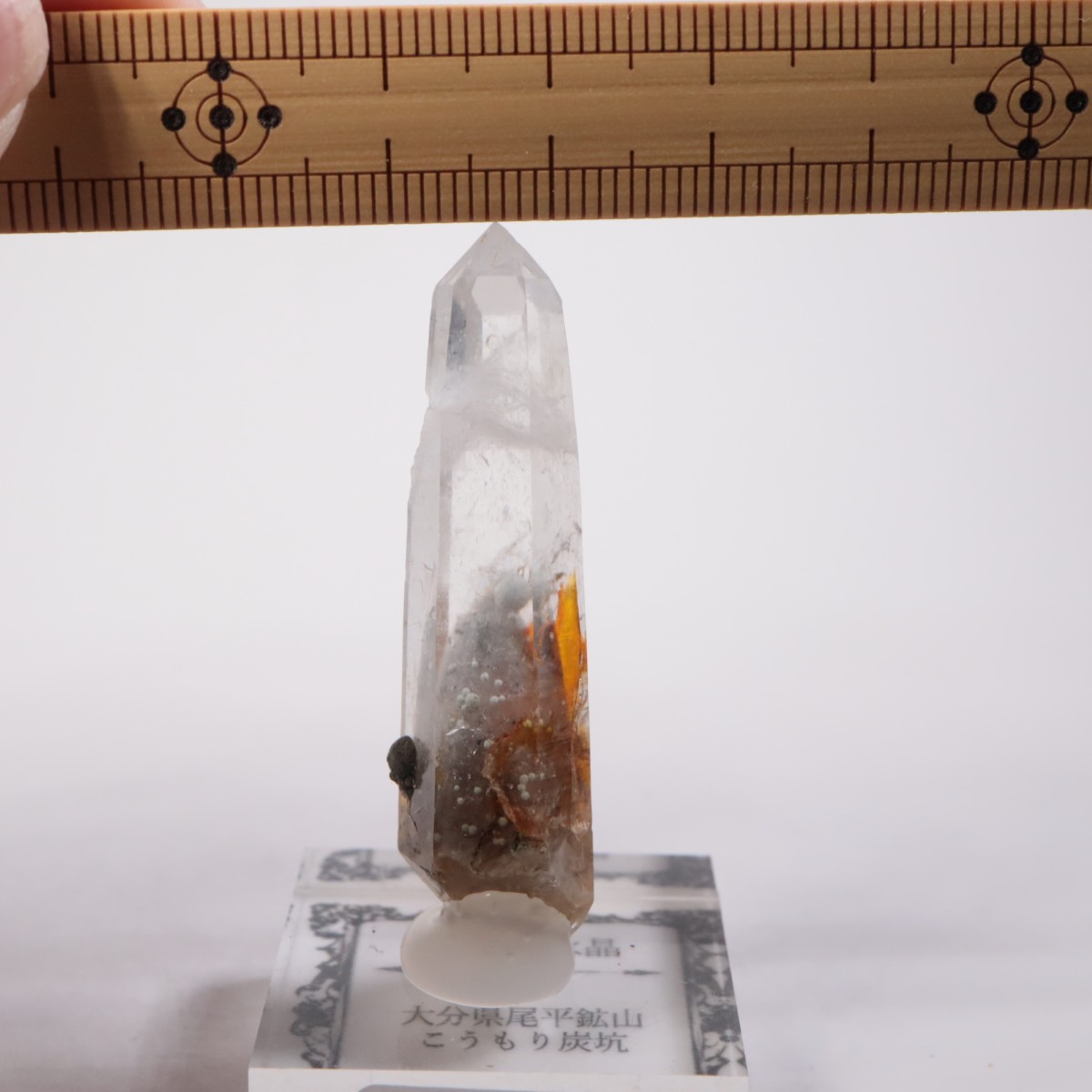 大分県尾平鉱山 まりも水晶 | 鉱物標本,カ行,クォーツ/水晶 | ほたるみ