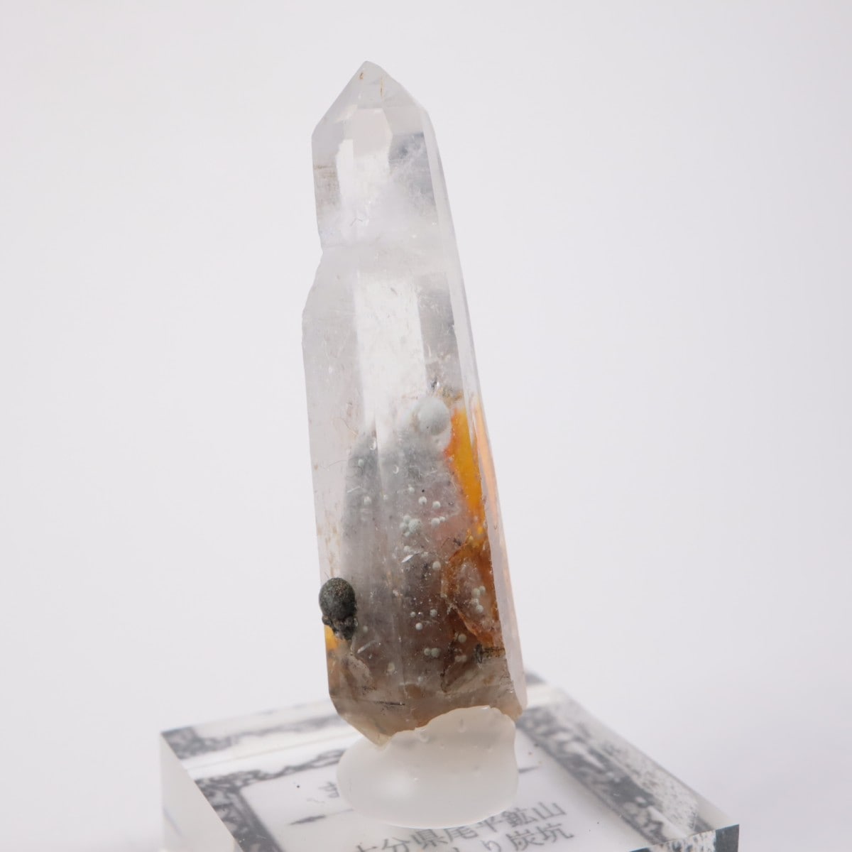 大分県尾平鉱山 まりも水晶 | 鉱物標本,カ行,クォーツ/水晶 | ほたるみ