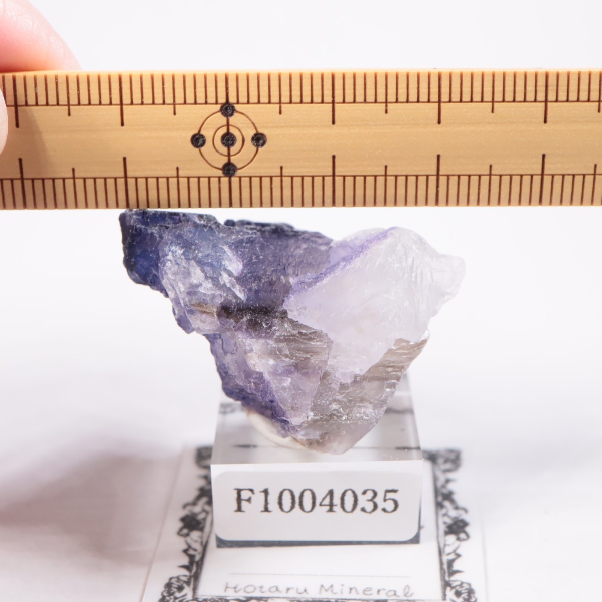 メキシコ産 フローライト | 鉱物標本,ハ行,フローライト/蛍石 | ほたる