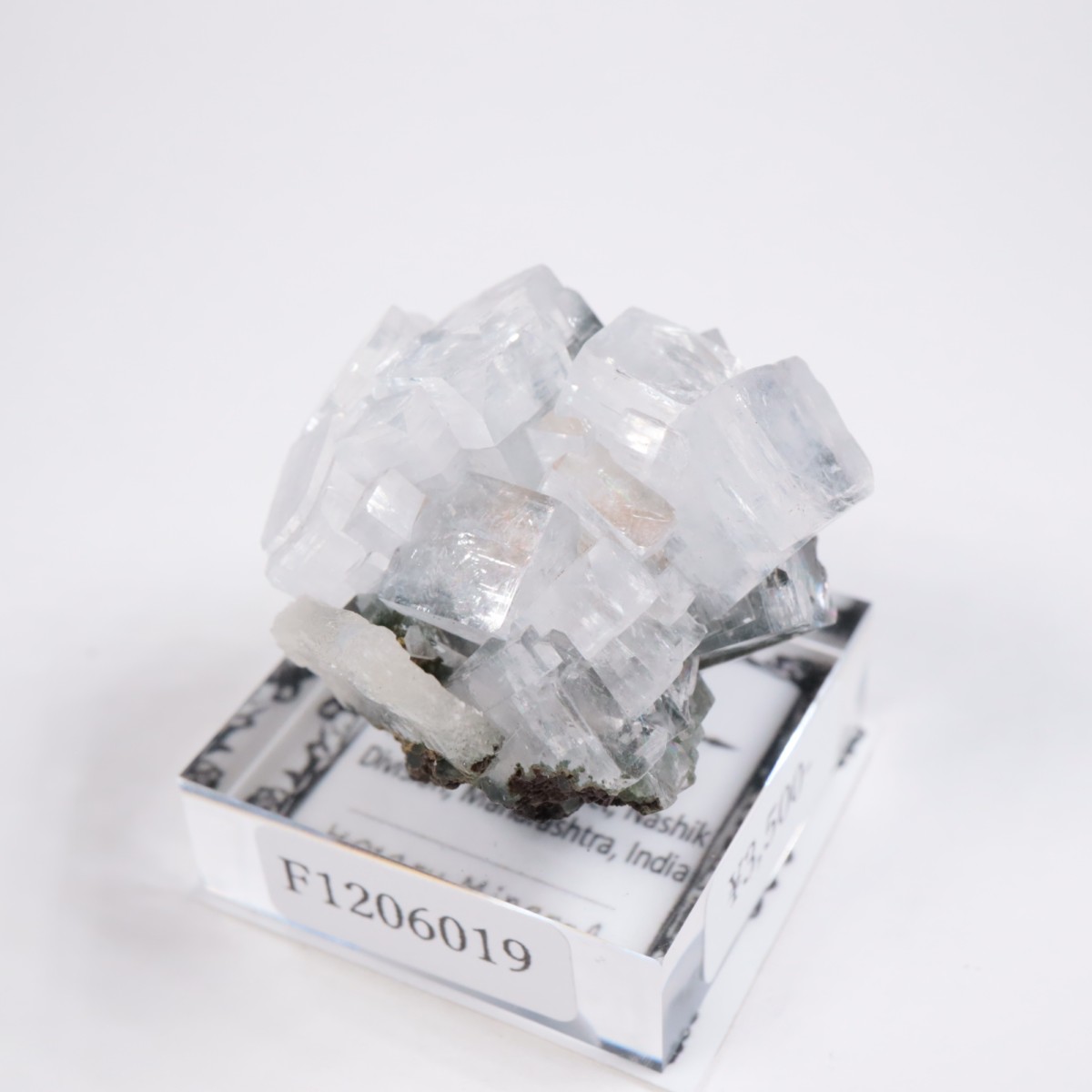 ����ɻ� ���ݥե��饤��