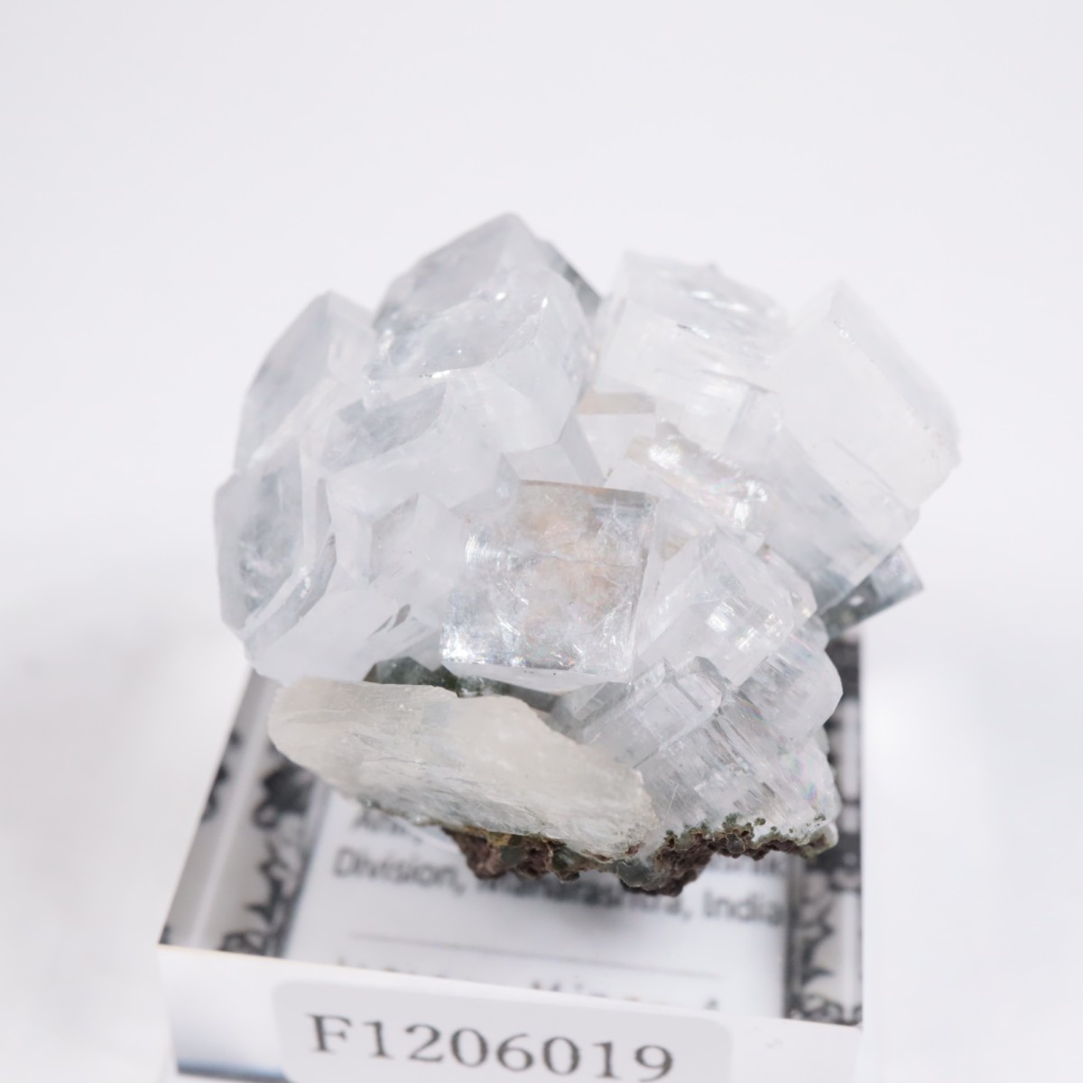 ����ɻ� ���ݥե��饤��