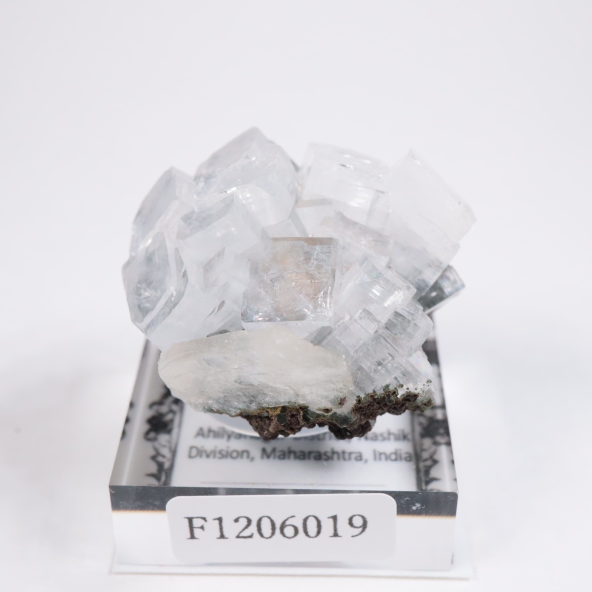 ����ɻ� ���ݥե��饤��