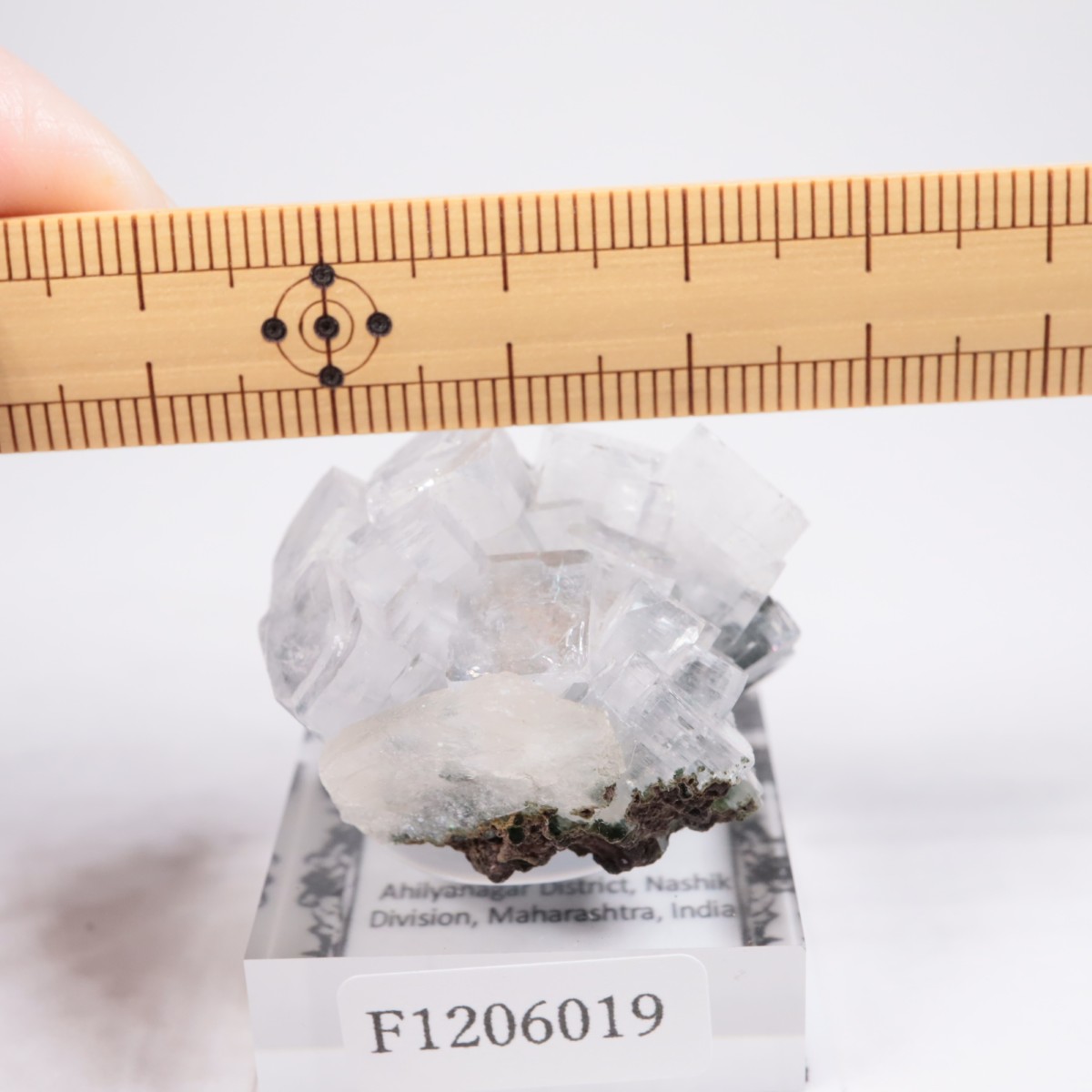 ����ɻ� ���ݥե��饤��