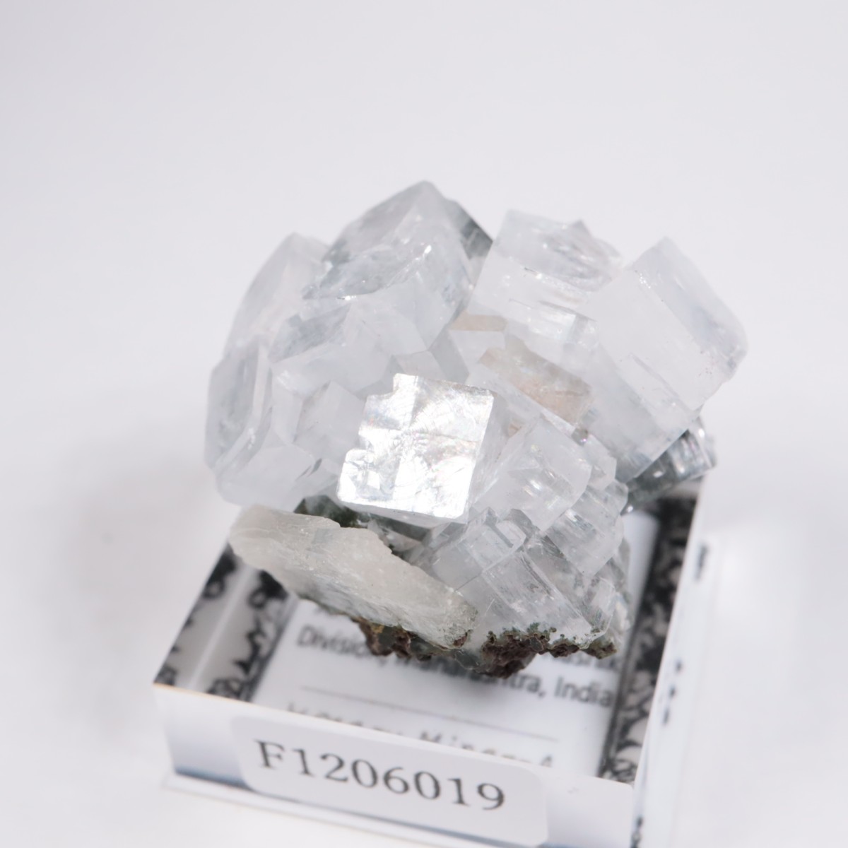 ����ɻ� ���ݥե��饤��