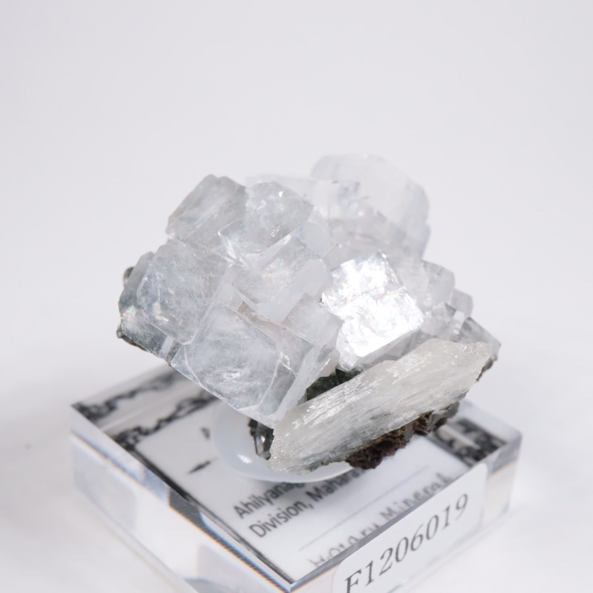 ����ɻ� ���ݥե��饤��