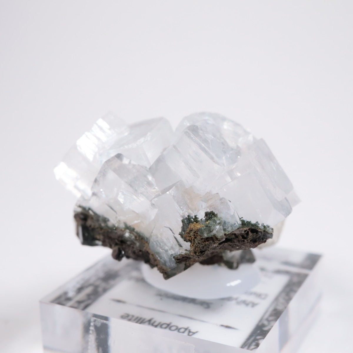 ����ɻ� ���ݥե��饤��