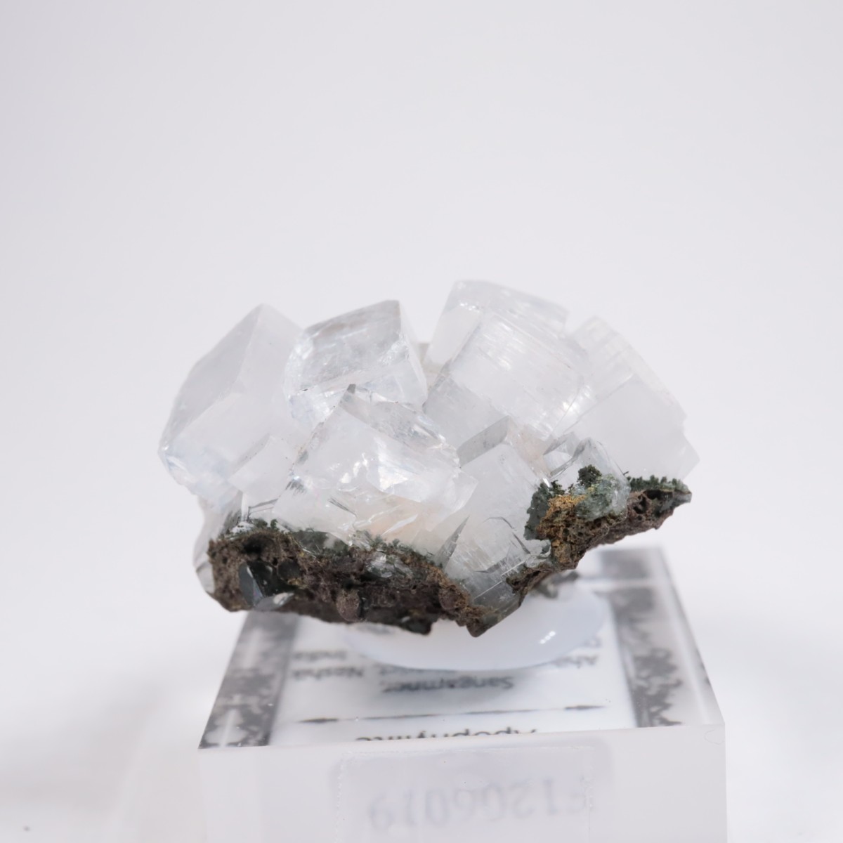 ����ɻ� ���ݥե��饤��