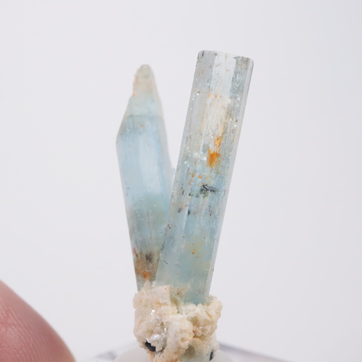 �����󥴹ۻ��� �������ޥ��