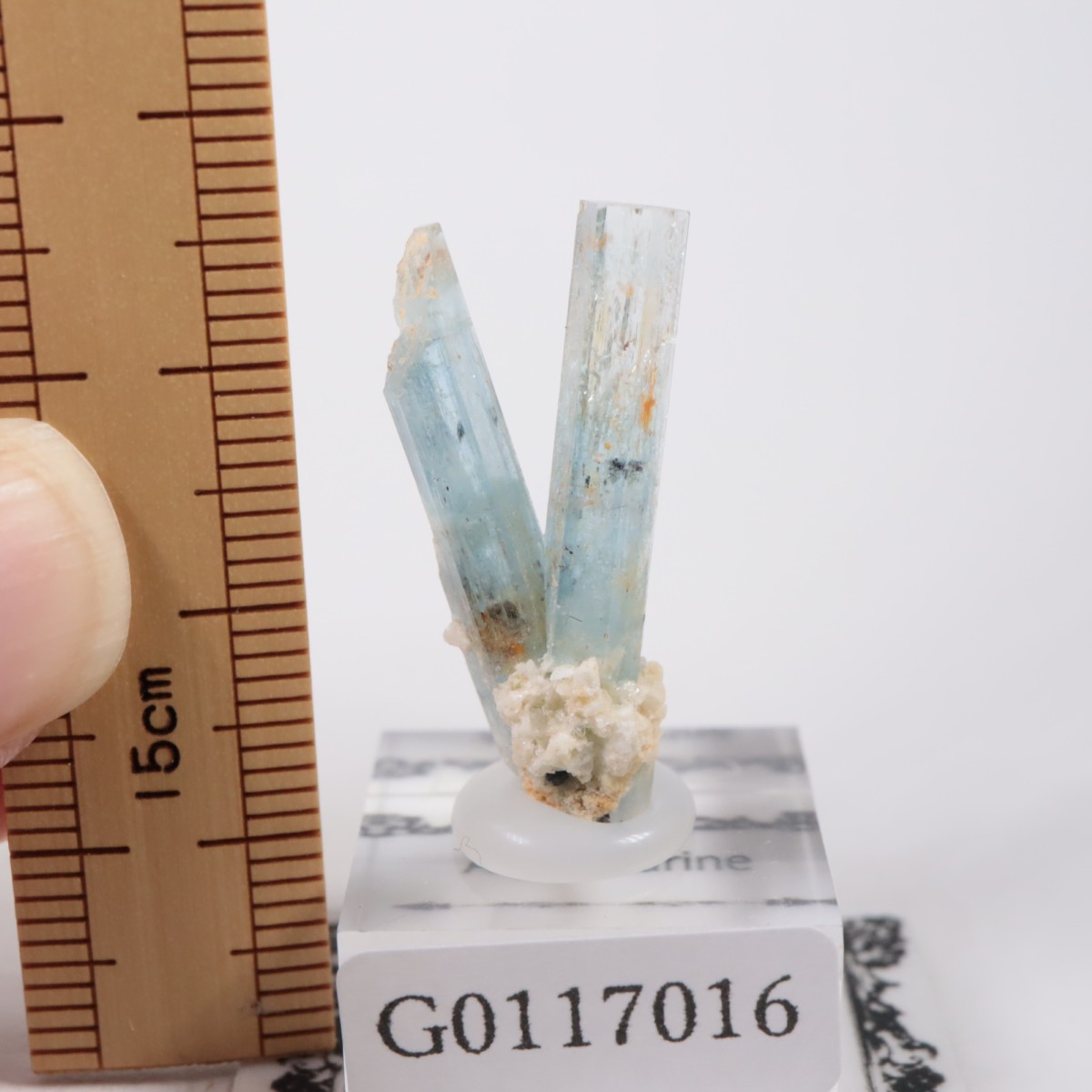 �����󥴹ۻ��� �������ޥ��